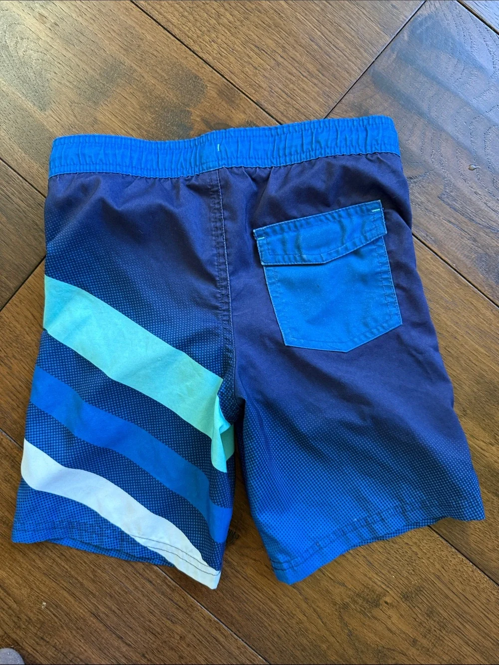 Shark Swim Shorts